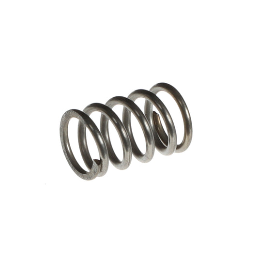 Mechline AquaJet AJ-SPRING Spray Gun Valve Spring
